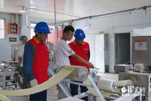 國網西安長安區供電公司 優質電力服務賦能食品加工，網絡技術助力區域經濟發展